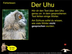 3-4 Fehlerlesen-Uhu-Übung.pdf